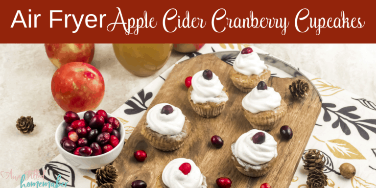 Air Fryer Apple Cider Cranberry Cupcakes
