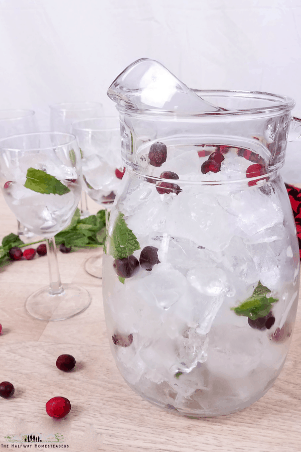Instant Pot Cranberry Apple Infused Water