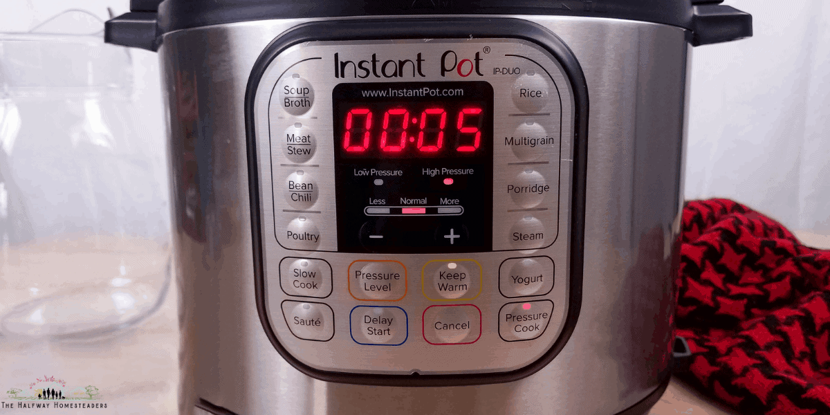 Instant Pot Cranberry Apple Infused Water