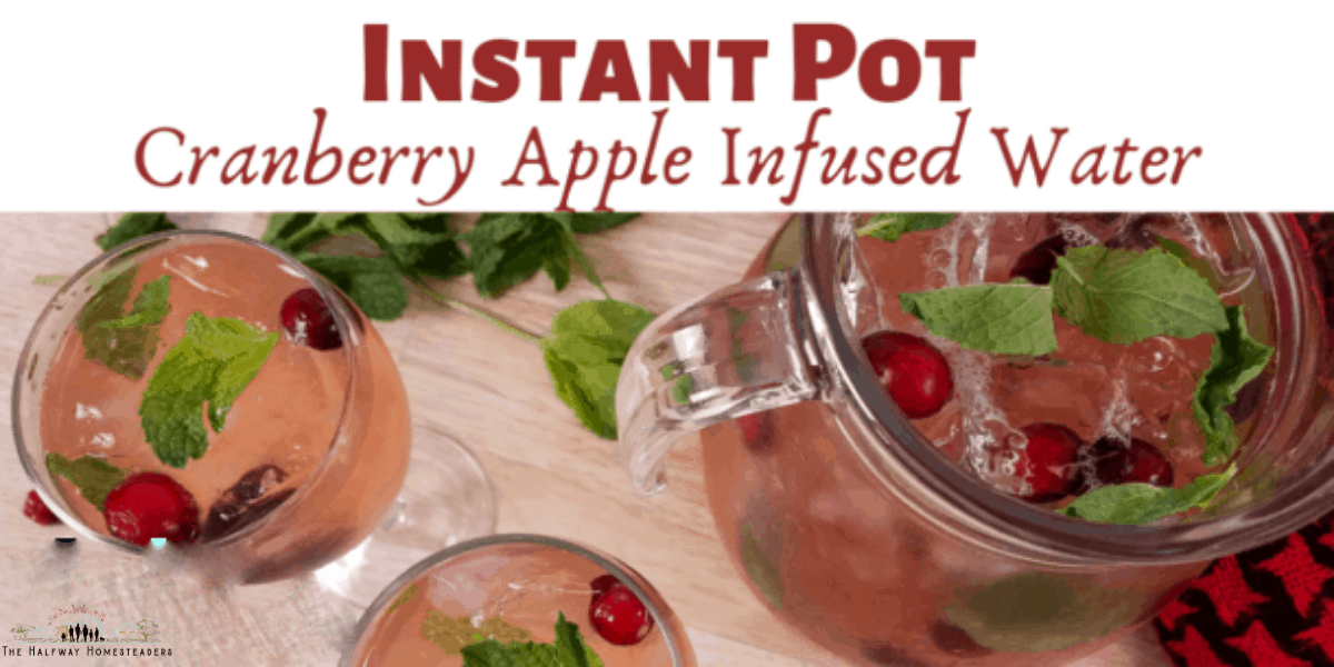 Instant Pot Cranberry Apple Infused Water 11 1