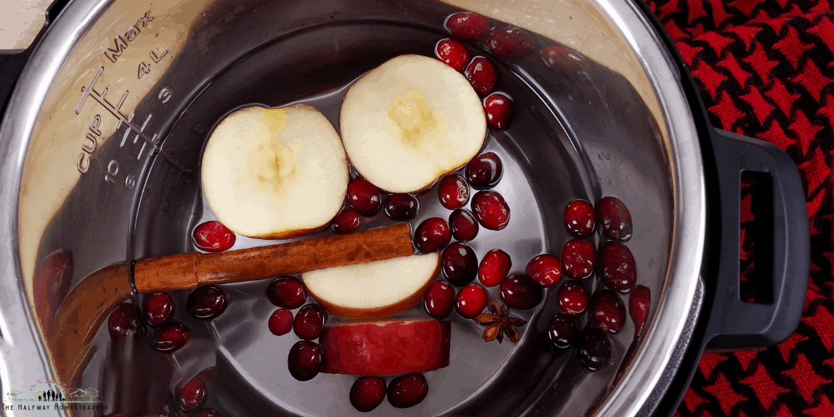Instant Pot Cranberry Apple Infused Water