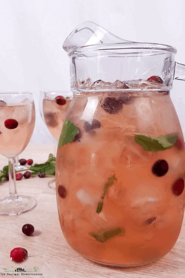 Instant Pot Cranberry Apple Infused Water