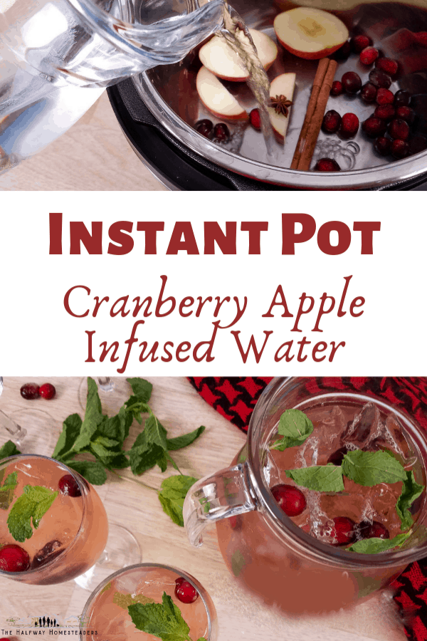Instant Pot Cranberry Apple Infused Water 4 2