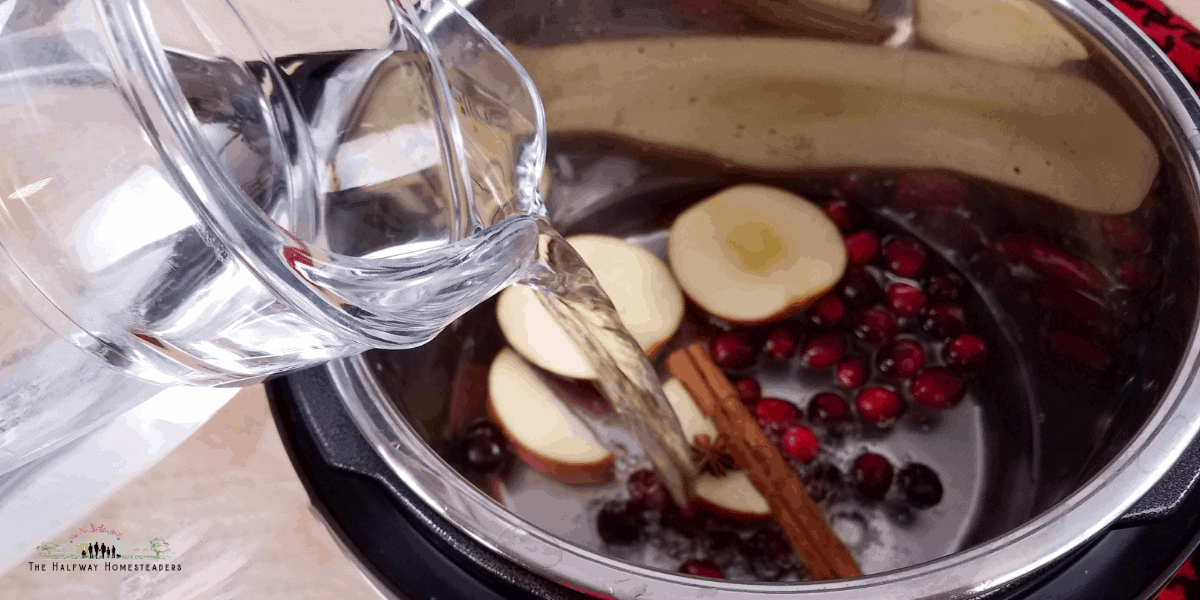 Instant Pot Cranberry Apple Infused Water