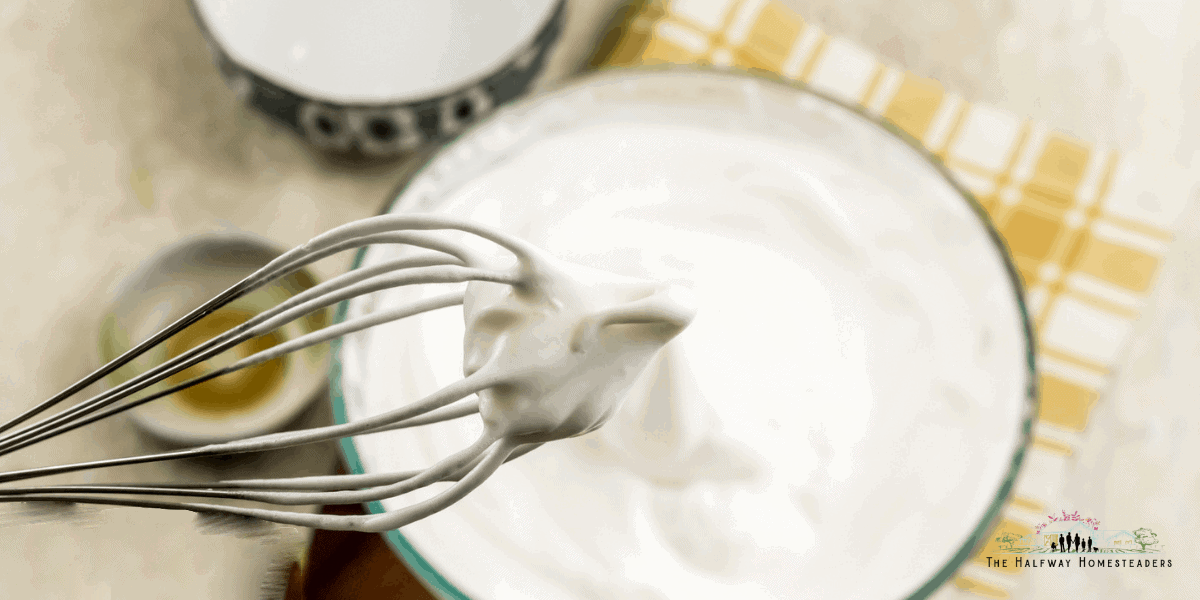 Vegan Aquafaba Frosting