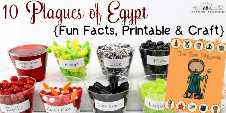 10 Plagues of Egypt 4