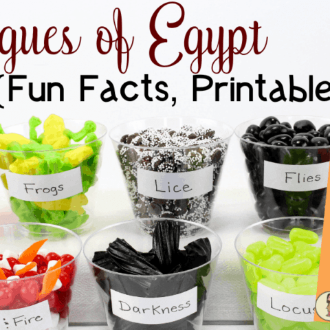 10 Plagues of Egypt