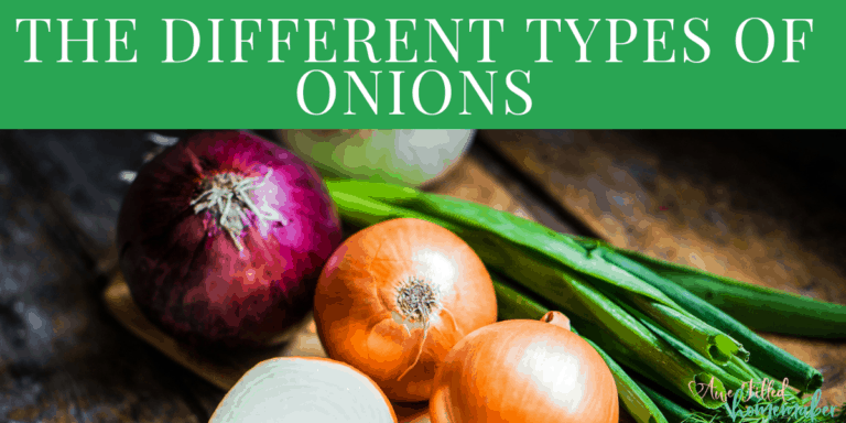 the different types of onions 3
