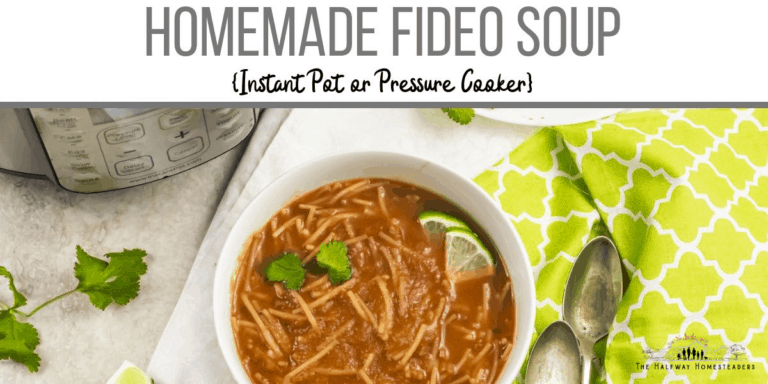 Homemade Fideo Soup