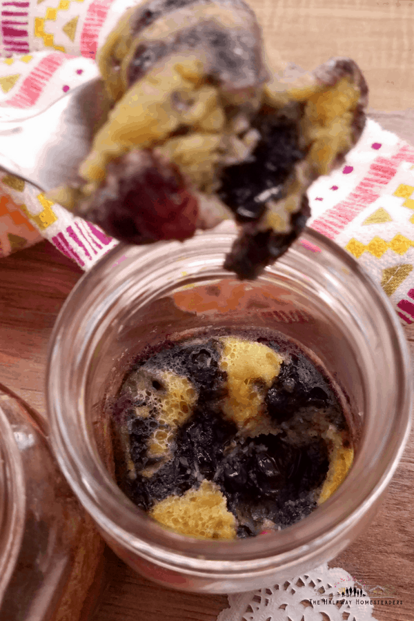 Instant Pot Cakes In a Jar