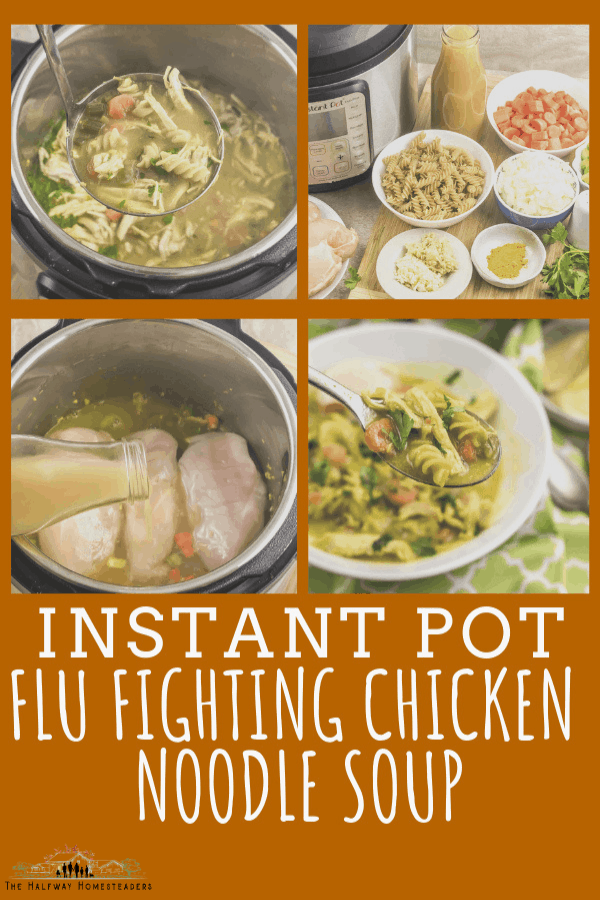 Instant Pot Flu Fighting Chicken Noodle Soup 2 1