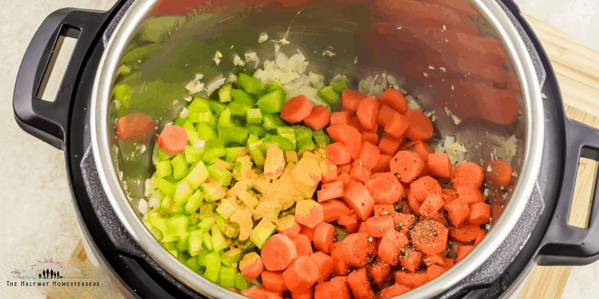 Instant Pot Flu Fighting Chicken Noodle Soup