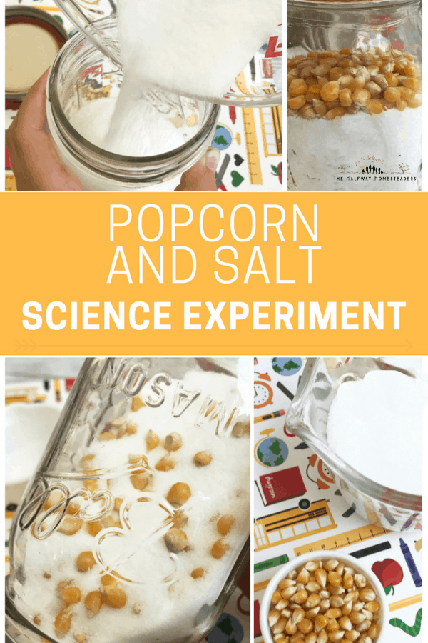 Cooks Science Salt Salt Science Project
