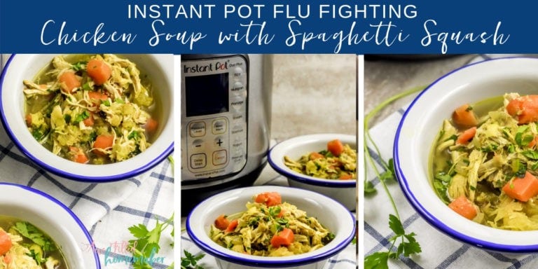 instant pot flu fighting chicken soup with spaghetti squash 22