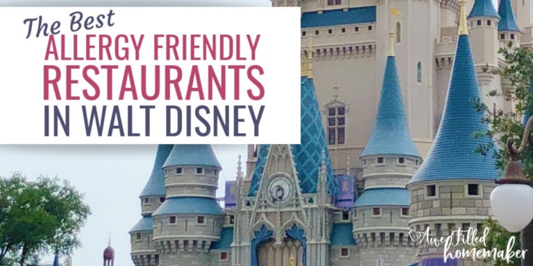 the best allergy friendly restaurants in walt disney 2