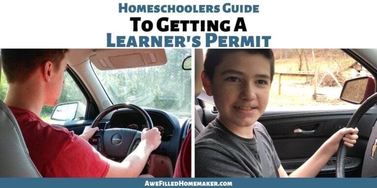 Copy of Homeschoolers Guide To Getting A Learners Permit 1