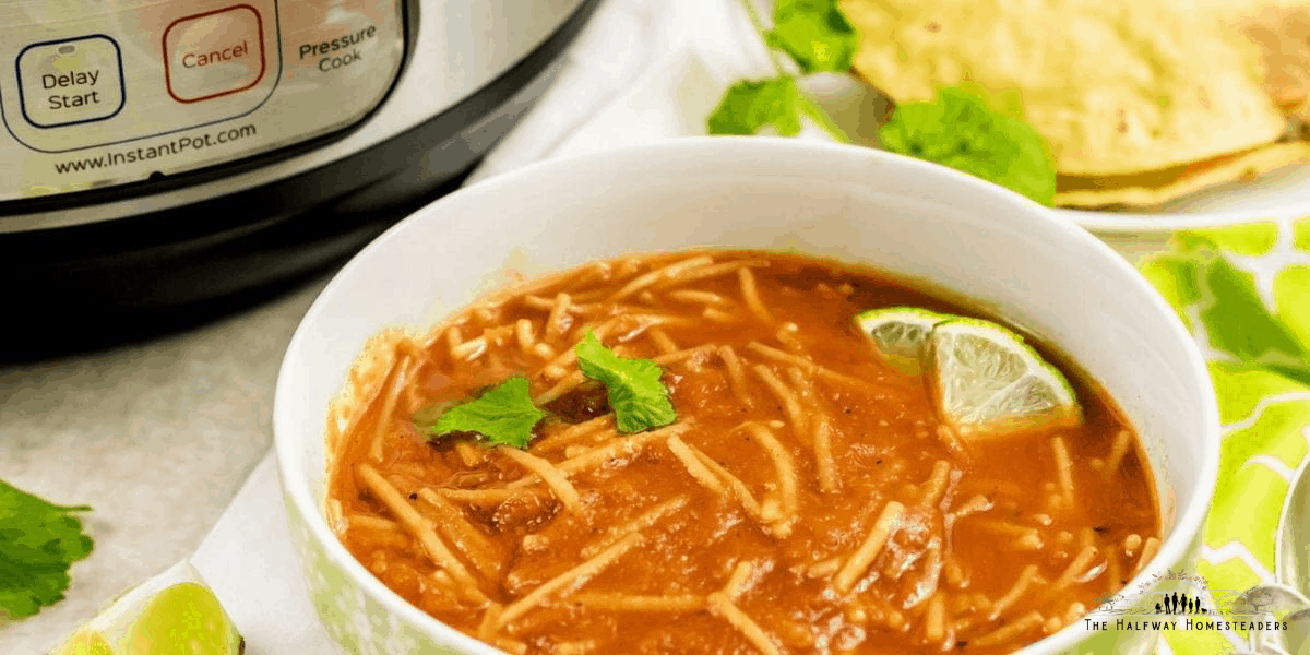 Homemade Fideo Soup 1