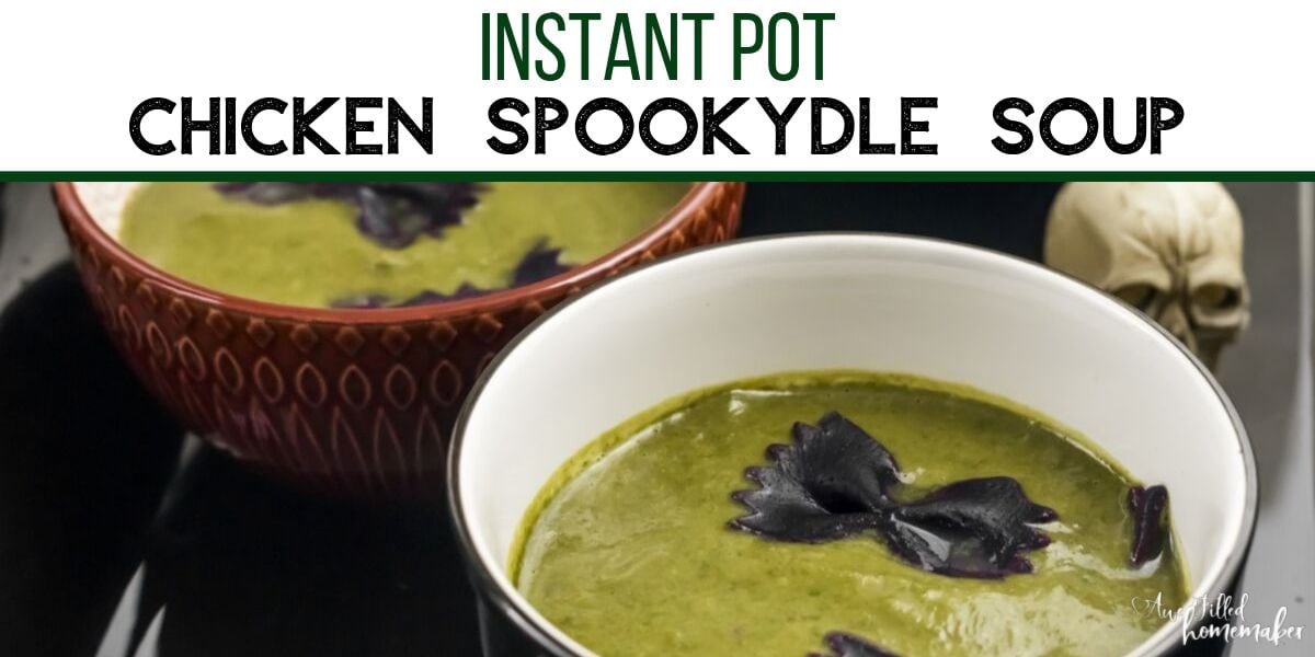 Instant Pot Chicken Spookydle Soup 27