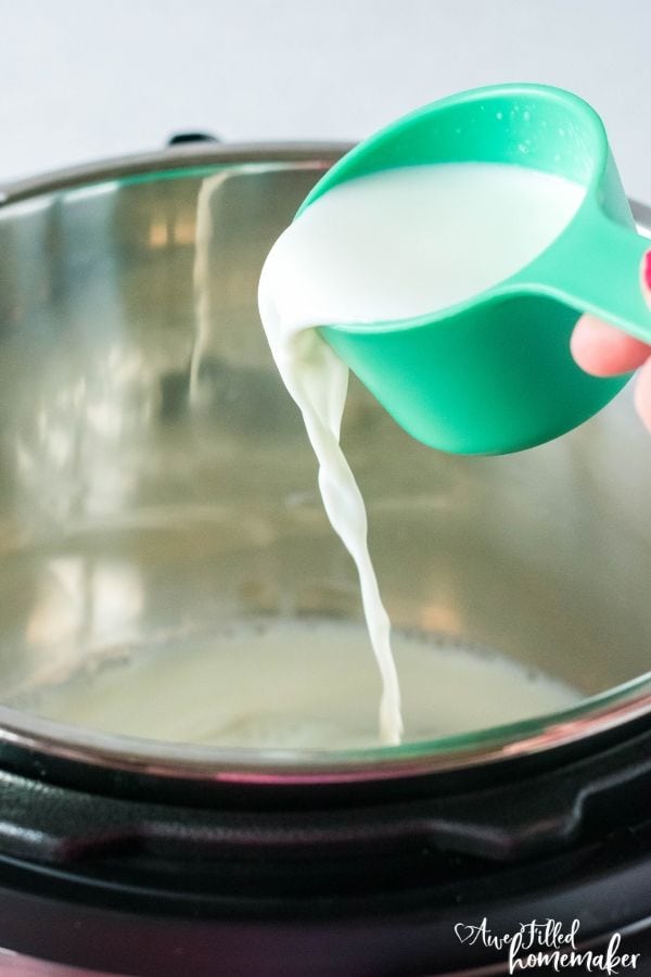 Pressure Cooker No-Knead Whole Wheat Bread (soy-free)