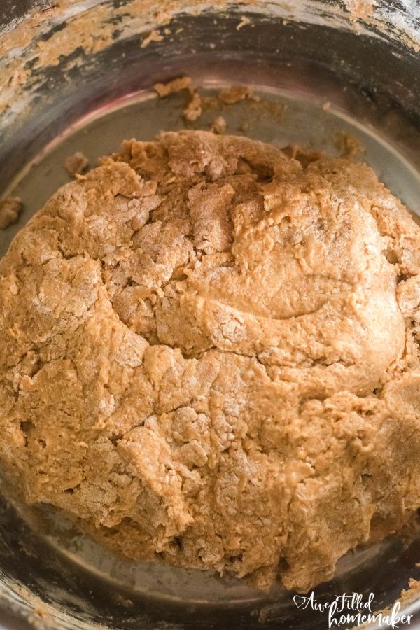 Pressure Cooker No-Knead Whole Wheat Bread (soy-free)