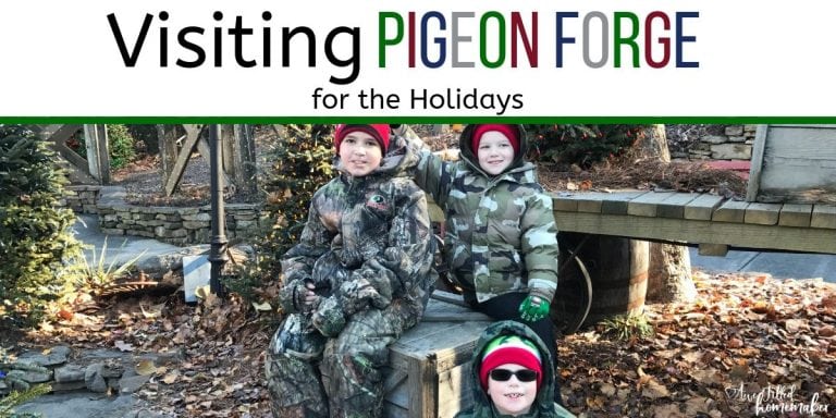 Copy of Copy of Visiting Pigeon Forge For The Holidays 