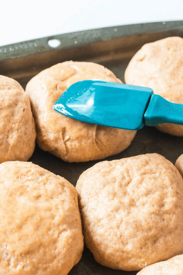 Instant Pot Whole Wheat Dinner Rolls
