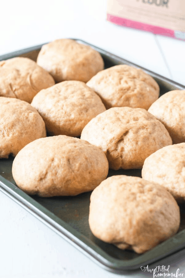 Instant Pot Whole Wheat Dinner Rolls
