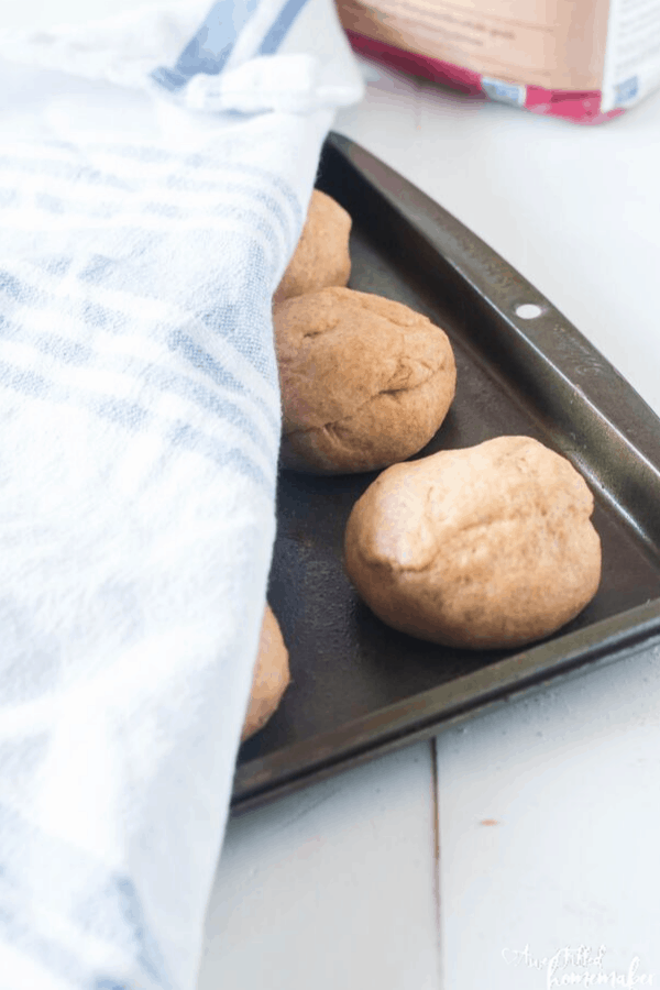 Instant Pot Whole Wheat Dinner Rolls