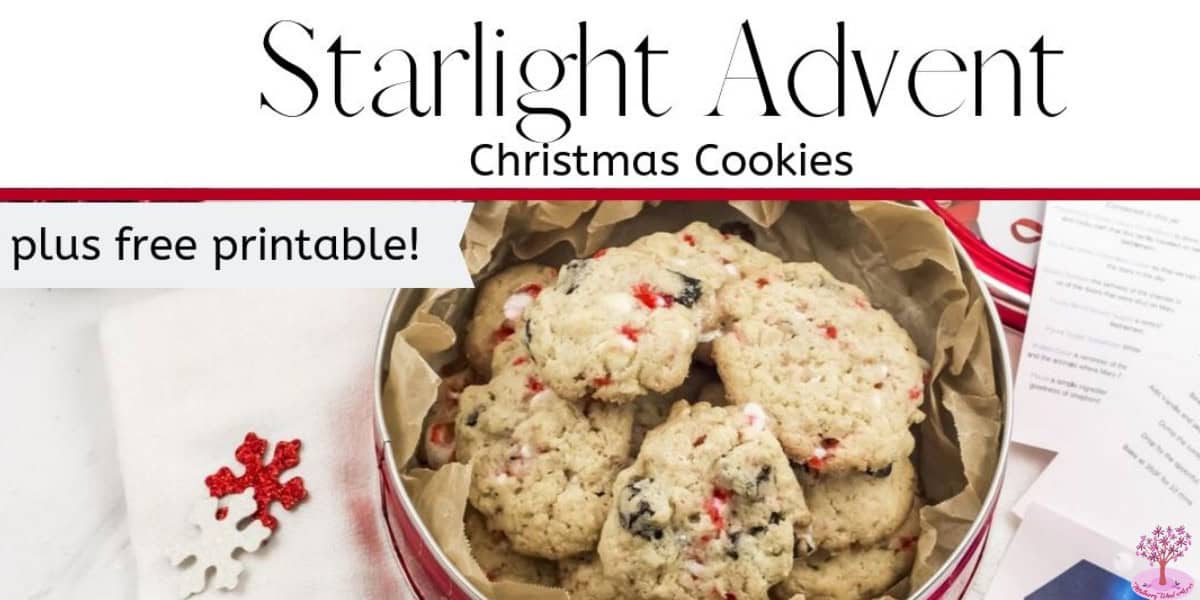Starlight Advent Christmas Cookies 14