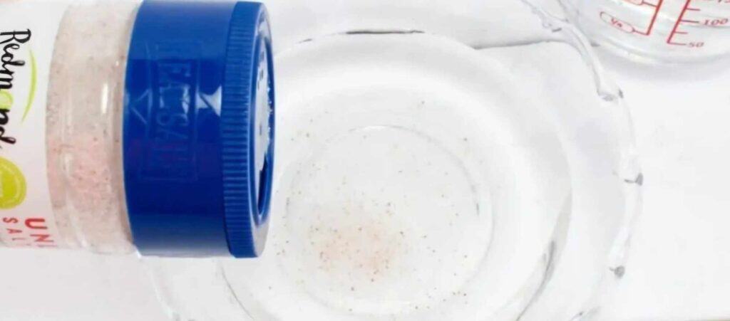 Water and Salt for Passover Seder Meal