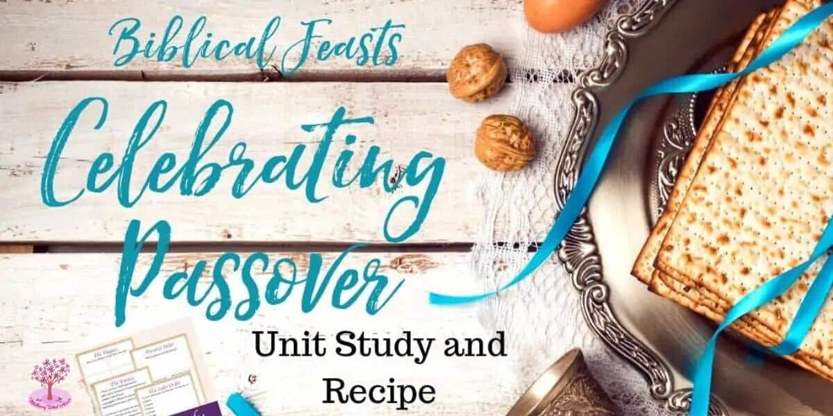 Passover Seder recipe and unit study