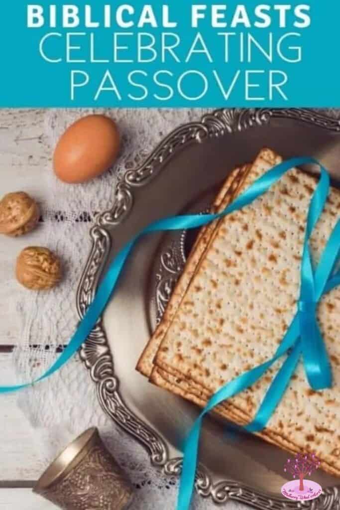 Passover Pin Image
