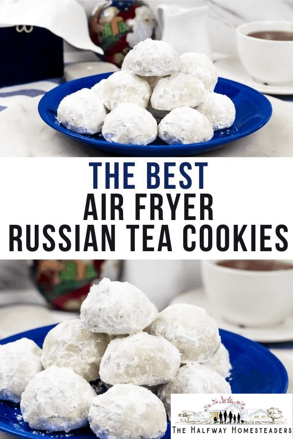 air fryer russian tea cookies 3