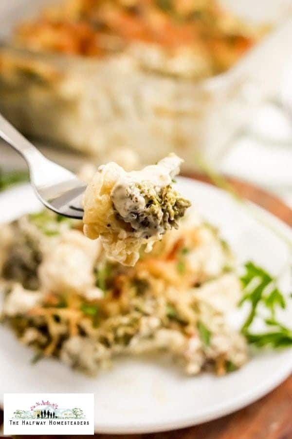 broccoli feature img