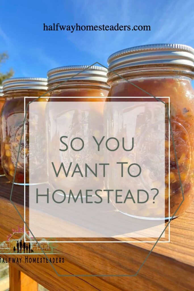 So You Want To Homestead Pin Create 1