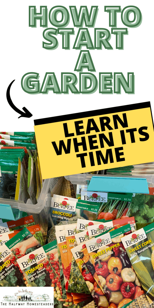 how to start a garden