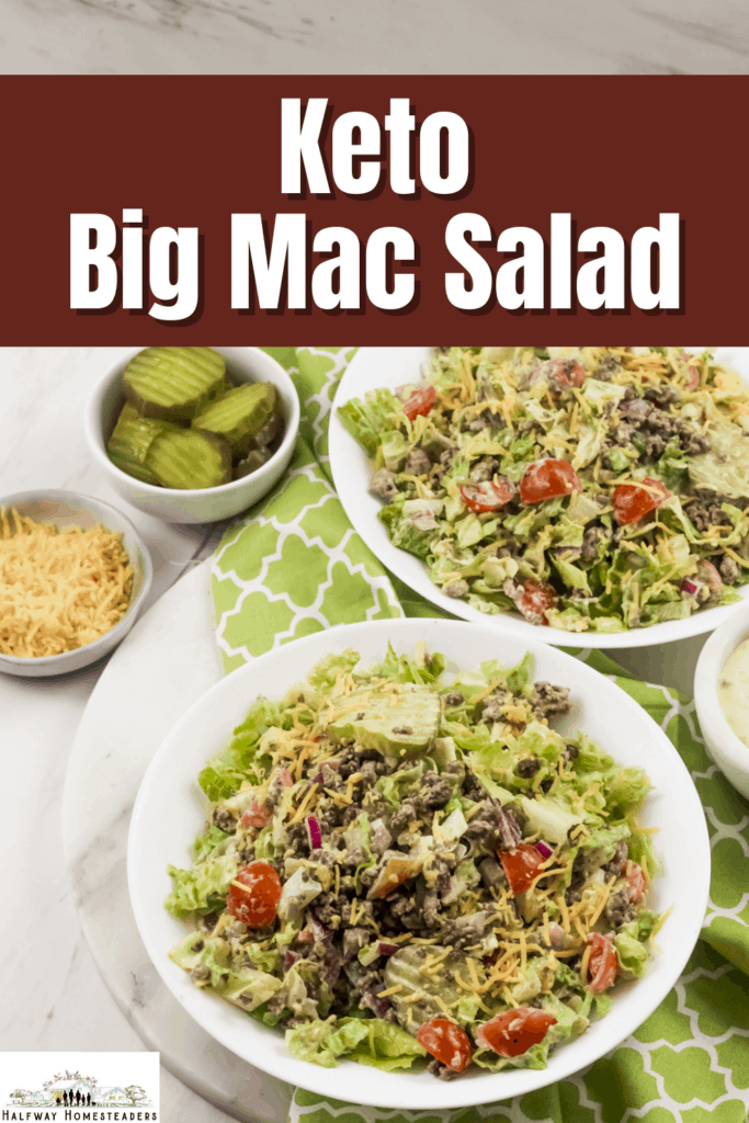 Homemade Keto Big Mac Salad 2