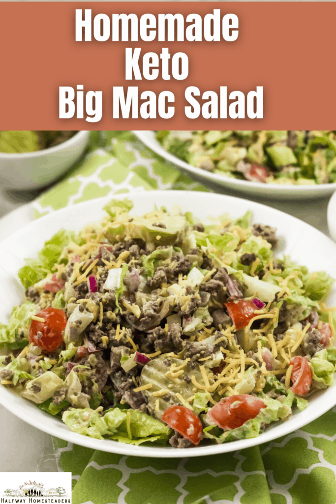 Homemade Keto Big Mac Salad 3