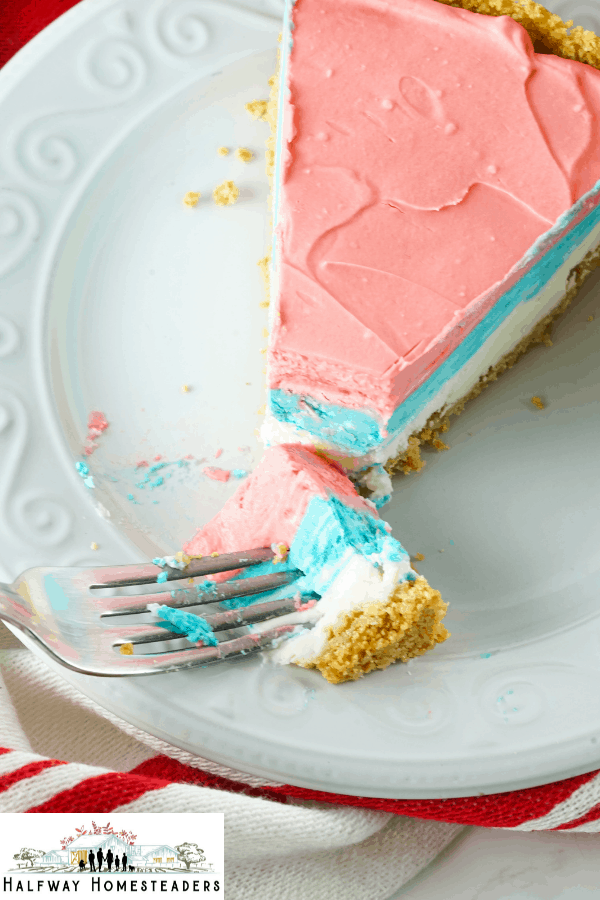 Red White and Blue No Bake Cheesecake 10