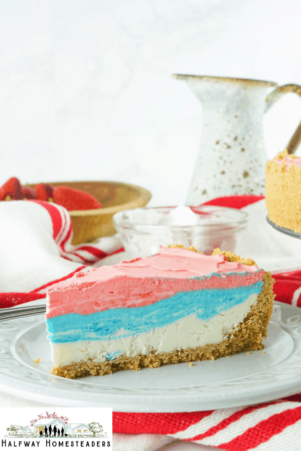 Red White and Blue No Bake Cheesecake 9
