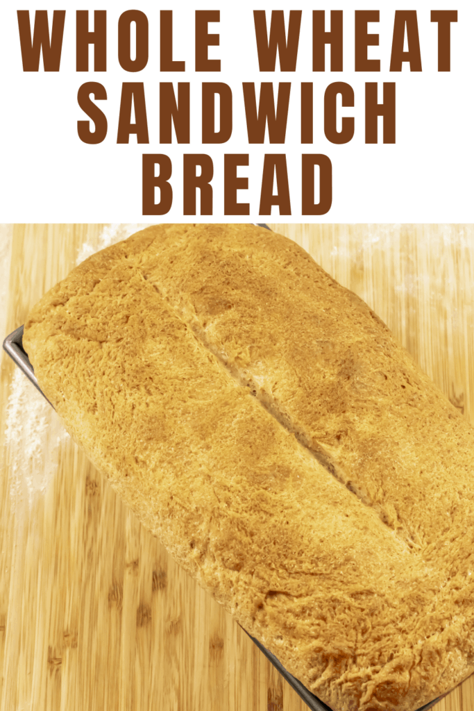 Whole Wheat Sandwich Bread 15