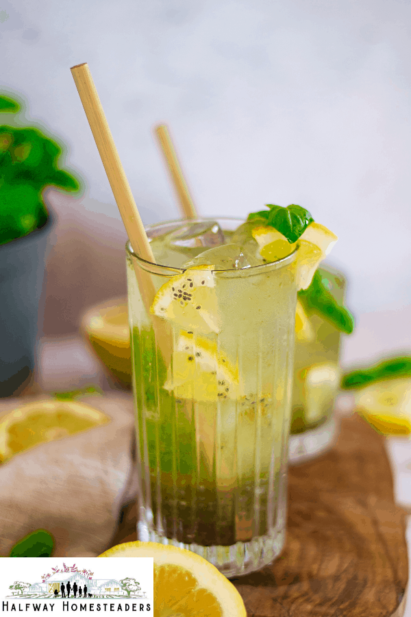 basil lemonade 14