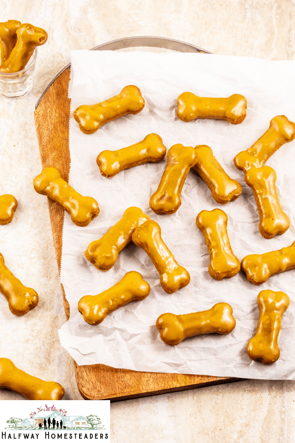 The Best Air Fryer Iced Dog Cookies 
