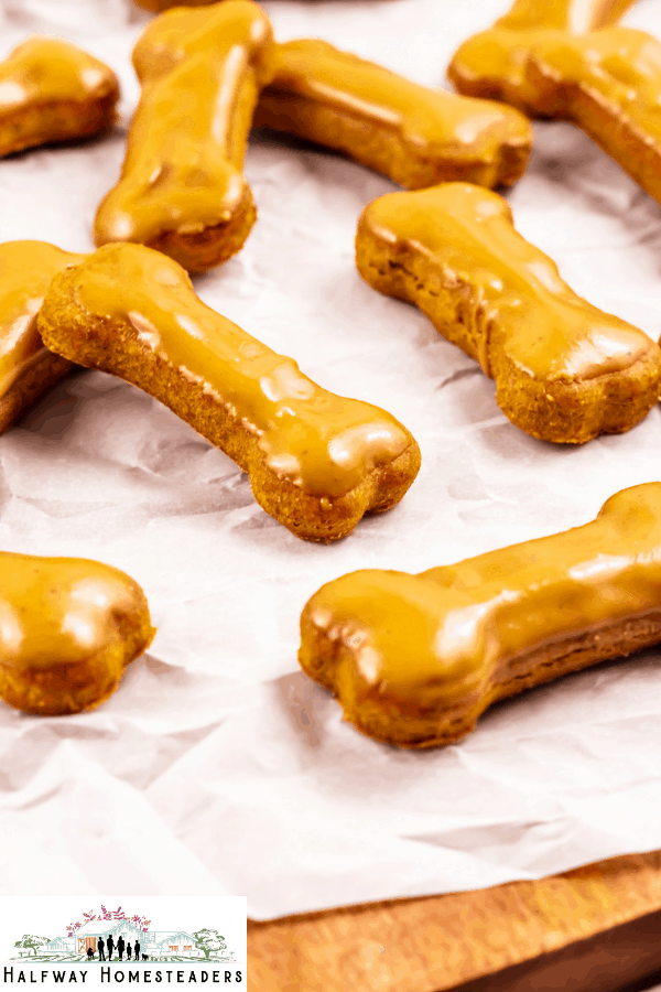 The Best Air Fryer Iced Dog Cookies 5
