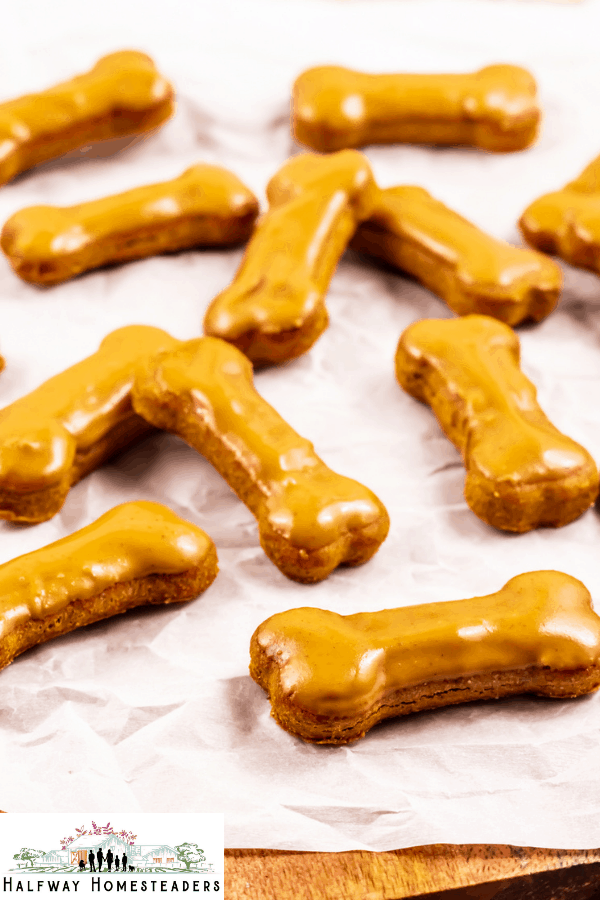The Best Air Fryer Iced Dog Cookies 6