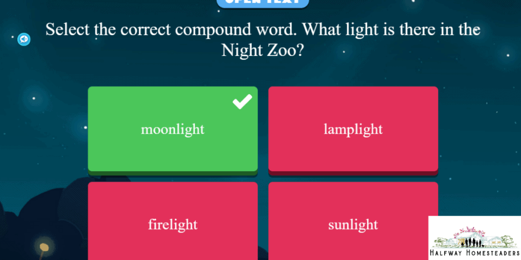 night zookeeper review