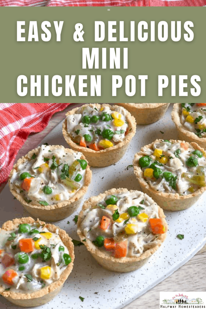 Easy Delicious Mini Chicken Pot Pies 20