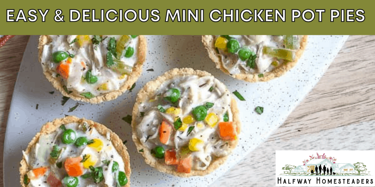 Easy Delicious Mini Chicken Pot Pies 21