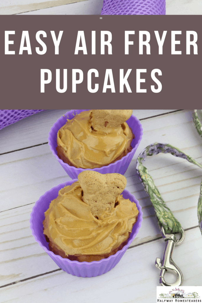 aIR FRYER CUPCAKES FOR YOUR DOG 1