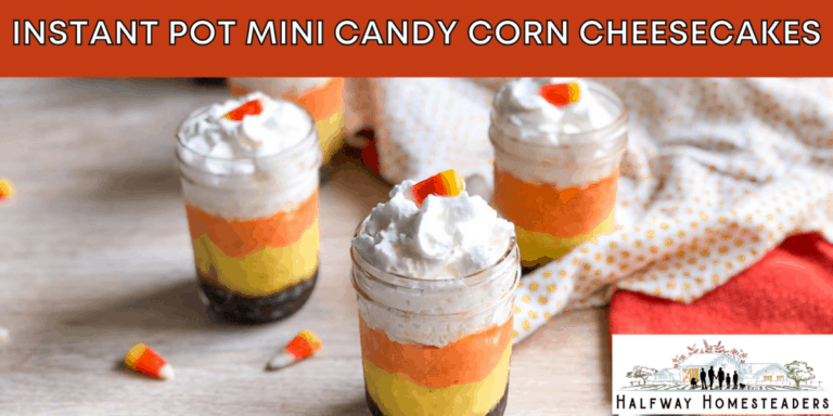 Instant Pot Mini Candy Corn Cheesecakes 1